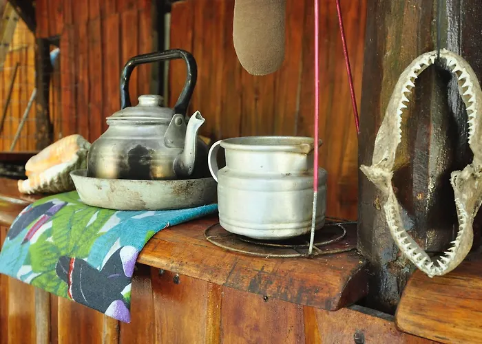 Howler Monkey Hotel