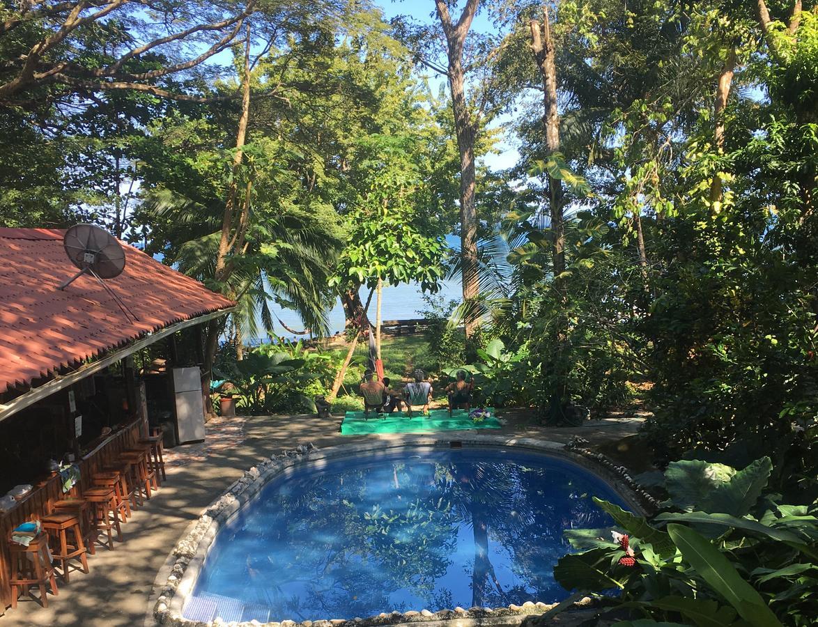 Hotel Howler Monkey