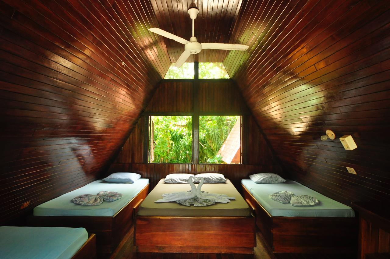 Hotel Howler Monkey 2*