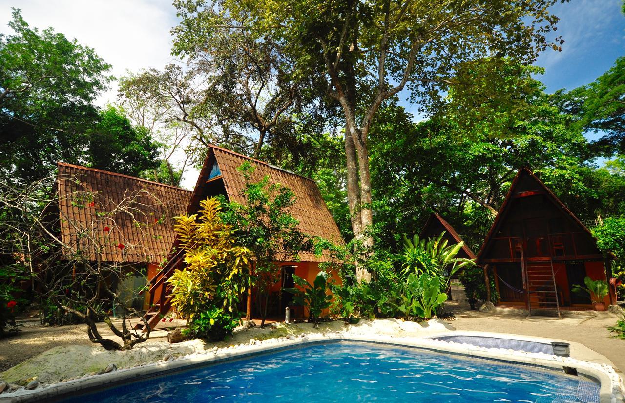 Howler Monkey Hotel 2*
